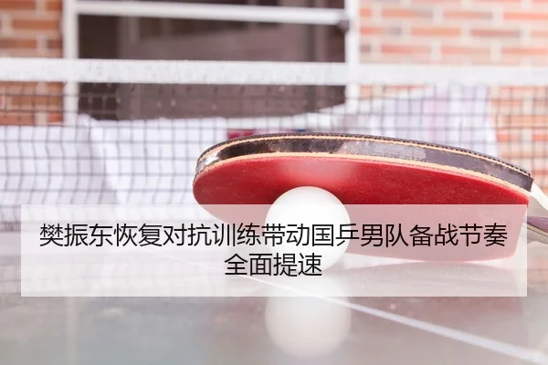 樊振东恢复对抗训练带动国乒男队备战节奏全面提速
